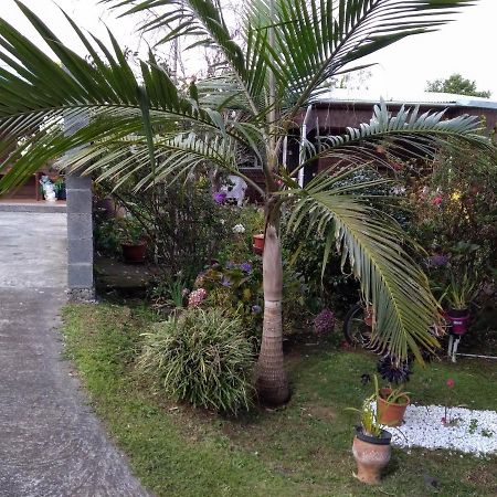 Ferienwohnung Au Fruit Delicieux La Plaine des Cafres Exterior foto