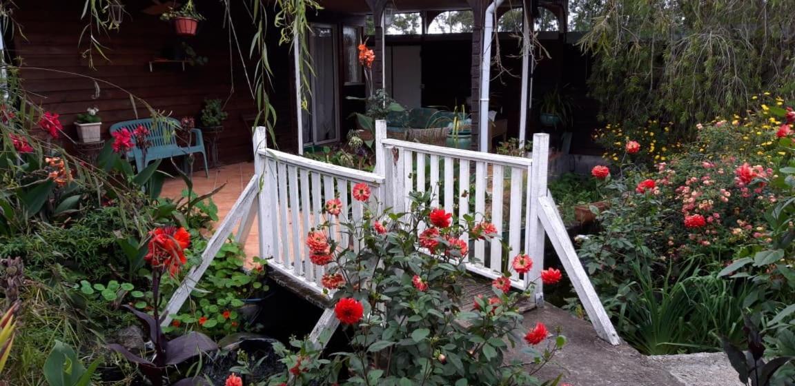 Ferienwohnung Au Fruit Delicieux La Plaine des Cafres Exterior foto